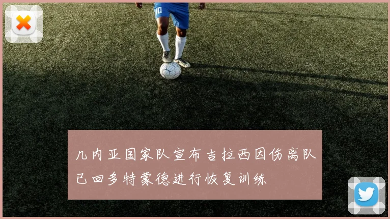 几内亚国家队宣布吉拉西因伤离队已回多特蒙德进行恢复训练