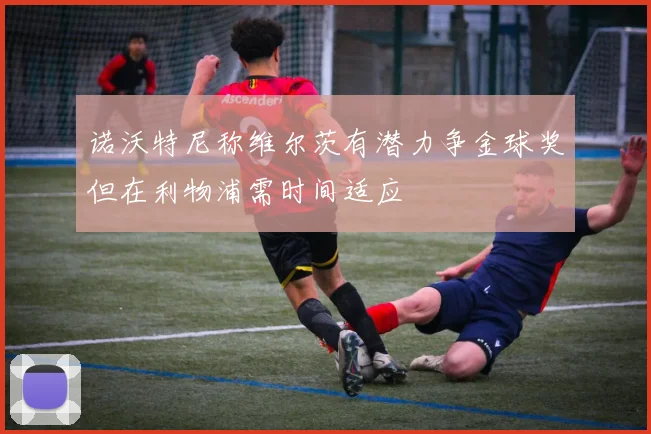 诺沃特尼称维尔茨有潜力争金球奖但在利物浦需时间适应