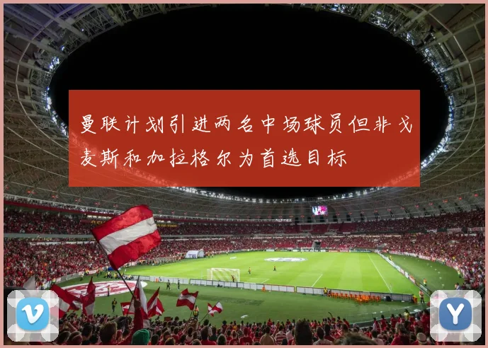 曼联计划引进两名中场球员但非戈麦斯和加拉格尔为首选目标