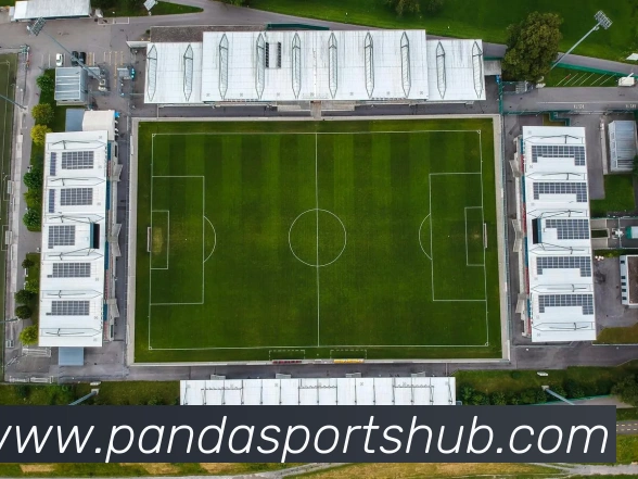 熊猫体育平台生态图